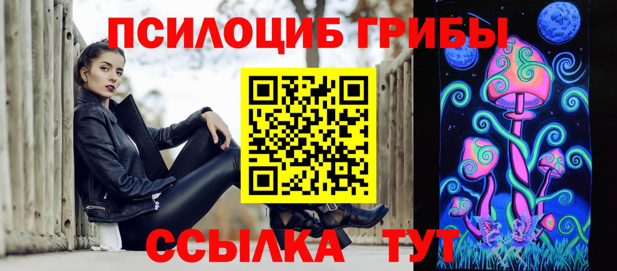 Чистополь  Псилоцибиновые грибы Cubensis  Галлюциногенные грибы мицелий  Вход с VPN 